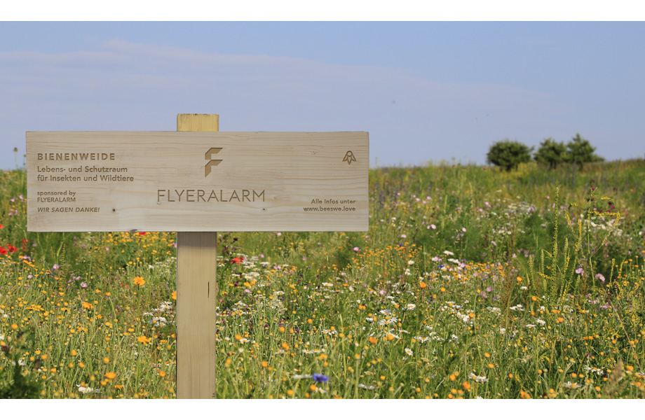 FLYERALARM Bienenweide-Patenschaft
