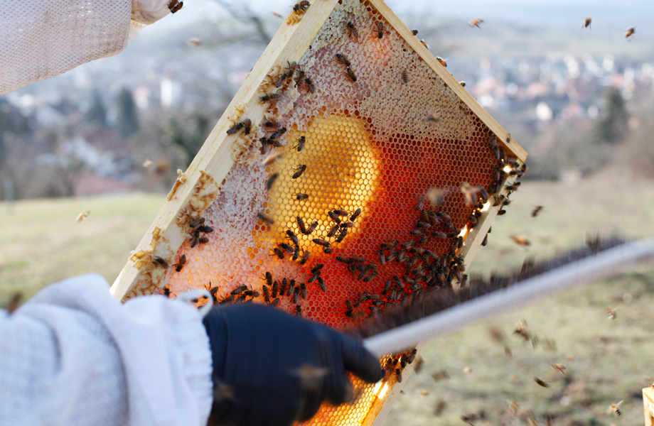 FLYERALARM Honigwaben