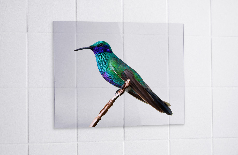 Druckbeispiel für Werbeschilder aus Acrylglas