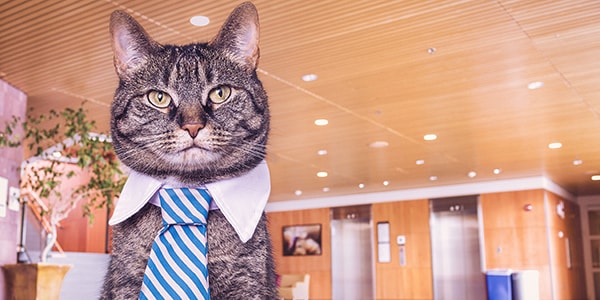 Flyeralarm_Gratisography4