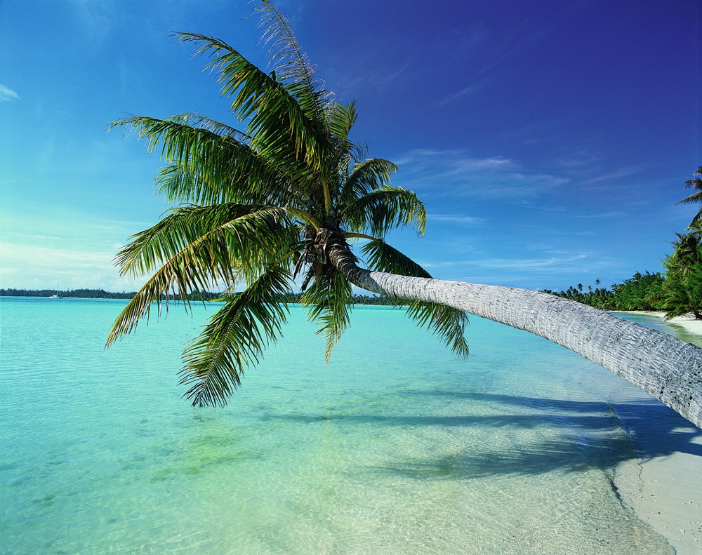 CMYK-Farben (simuliert)