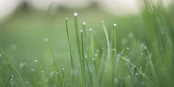 Flyeralarm_LifeofPix5 Flyeralarm_LifeofPix5