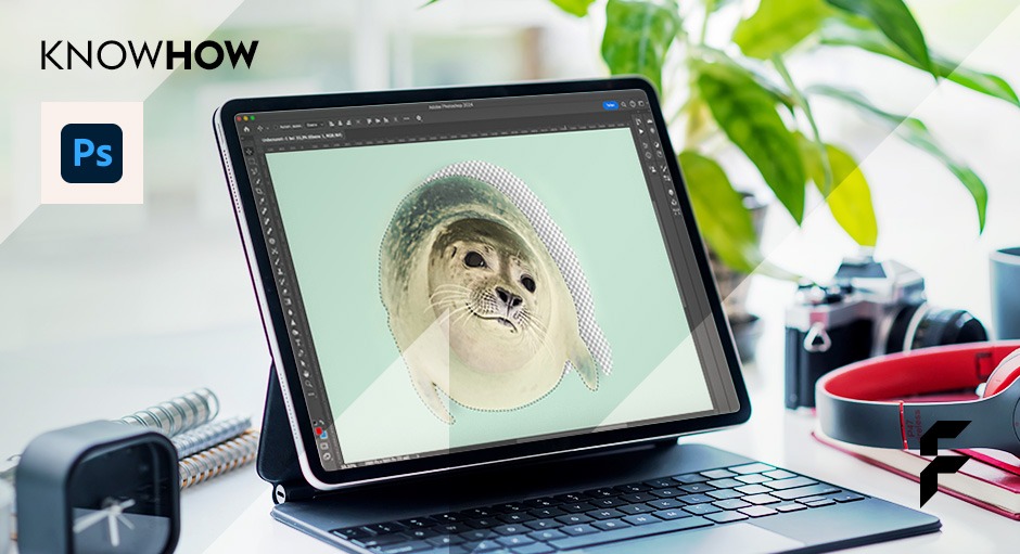 Photoshop Basics: Objekte freistellen